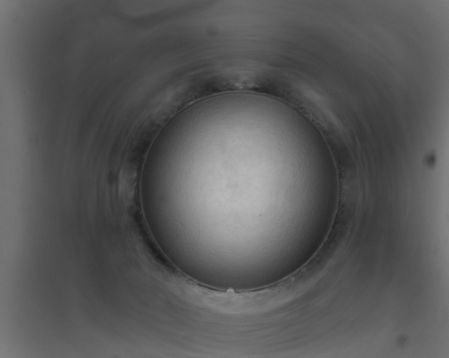 X0000094810030200711241456