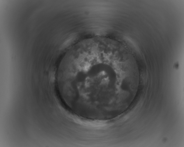 X0000094810032200711241456