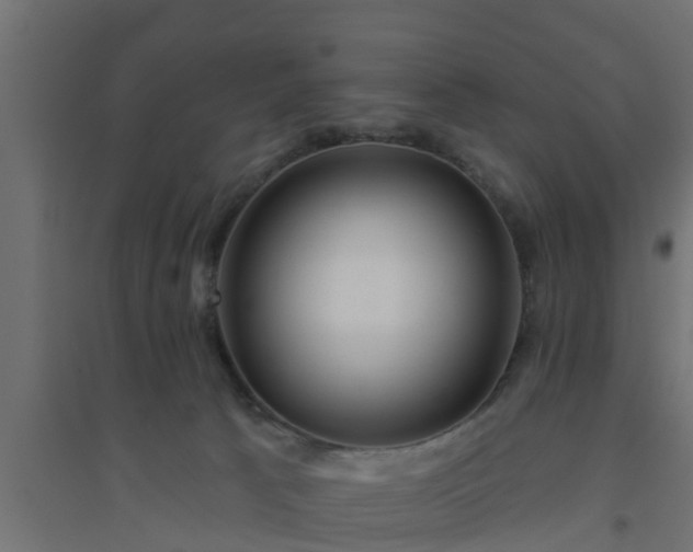 X0000094810033200711241456