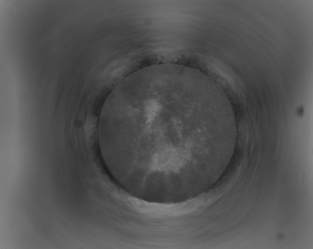 X0000094810034200711241456