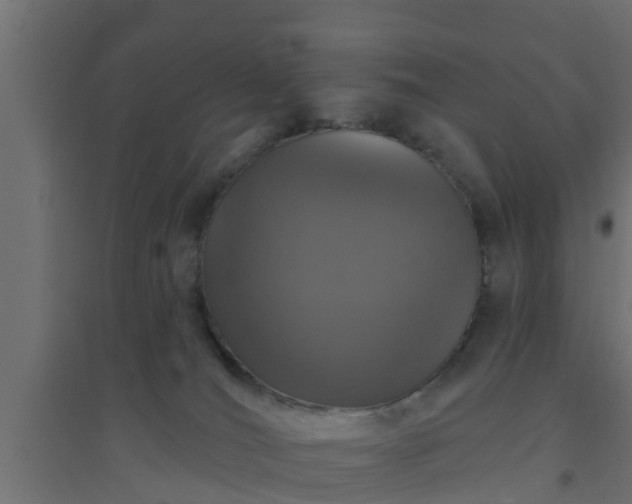 X0000094810036200711241456