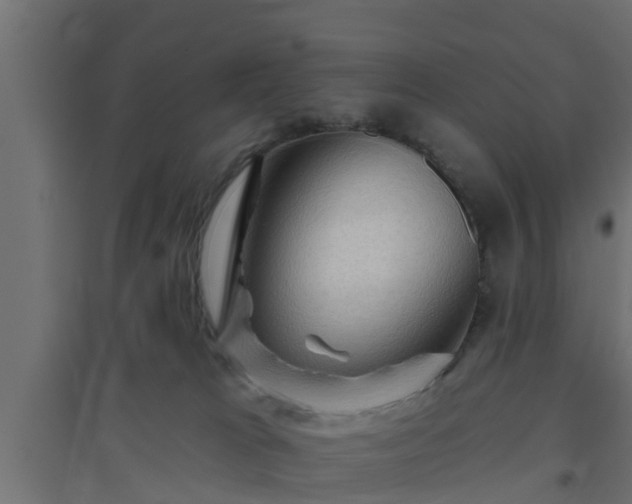 X0000094810037200711241456