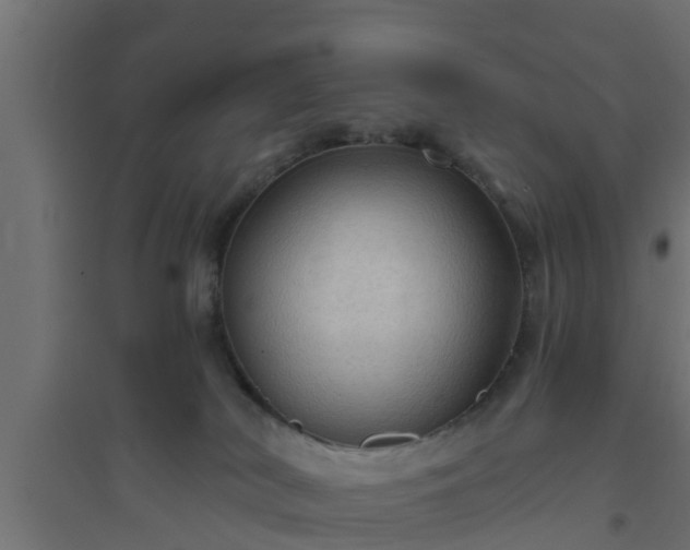 X0000094810038200711241456