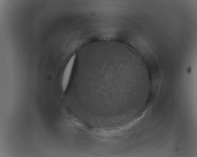 X0000094810041200711241456