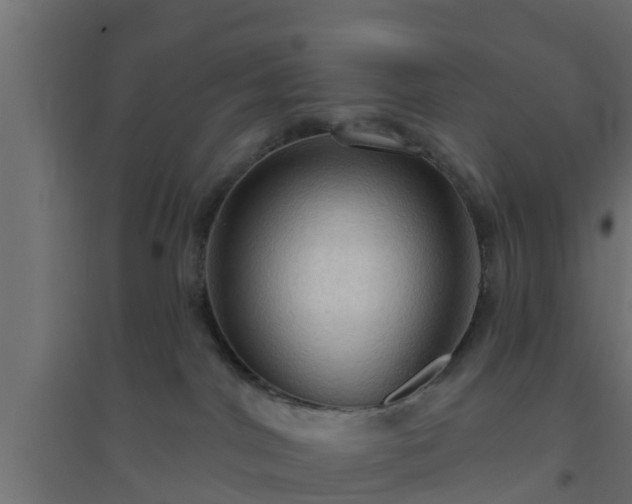 X0000094810044200711241455