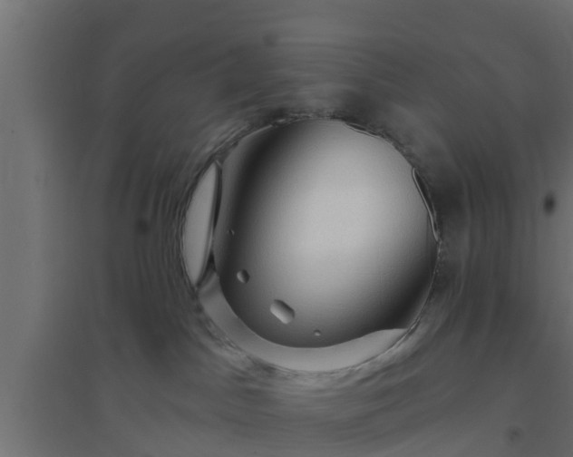 X0000094810045200711241455