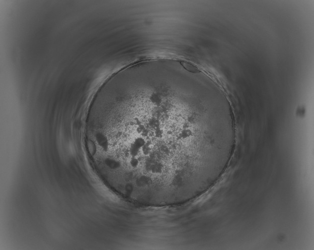 X0000094810049200711241455