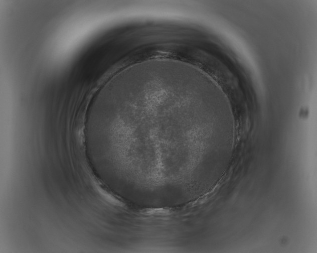 X0000094810050200711241455