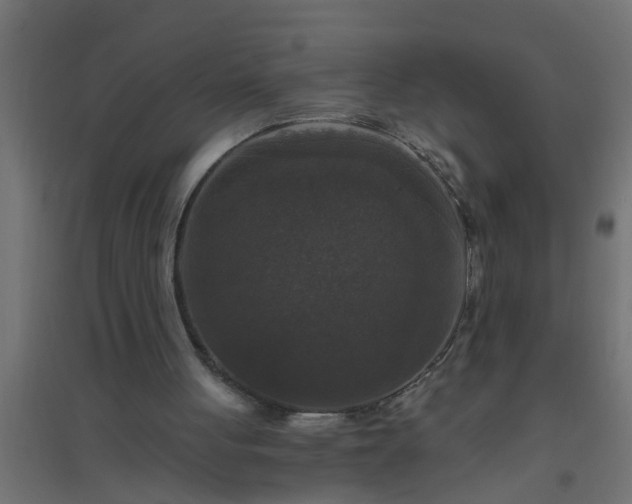 X0000094810051200711241455