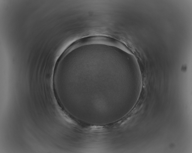 X0000094810052200711241455