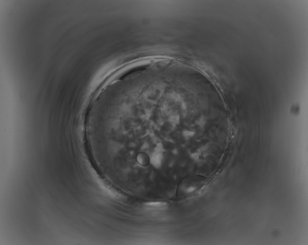 X0000094810053200711241455