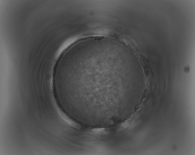 X0000094810054200711241455