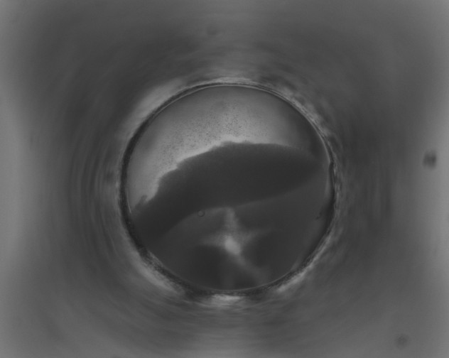 X0000094810055200711241455