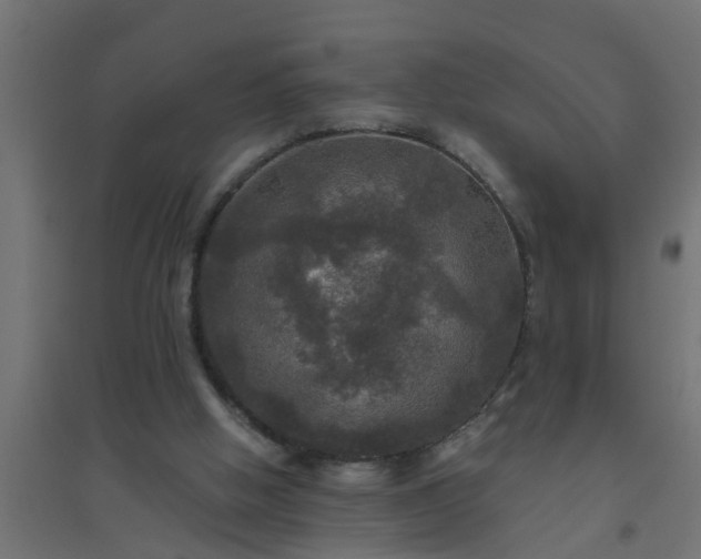 X0000094810058200711241455