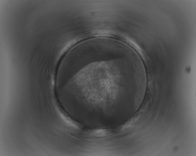 X0000094810059200711241455