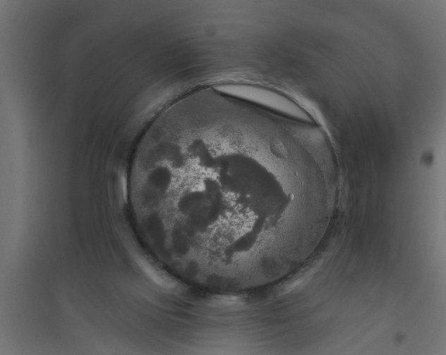 X0000094810061200711241455