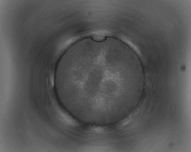 X0000094810062200711241455