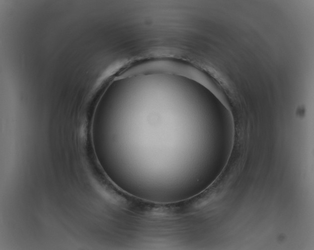 X0000094810064200711241455