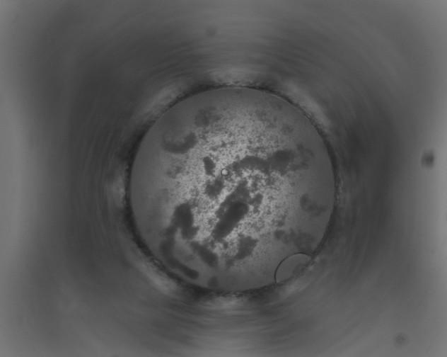 X0000094810065200711241455