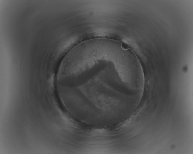 X0000094810066200711241455