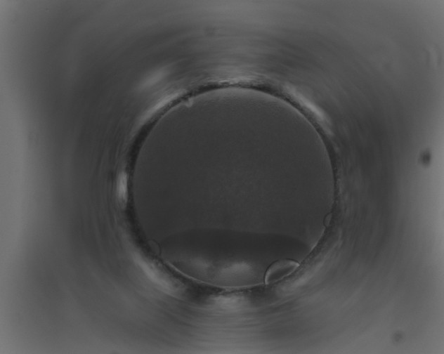 X0000094810067200711241455