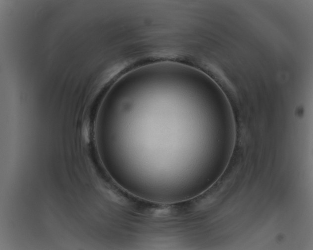 X0000094810068200711241455