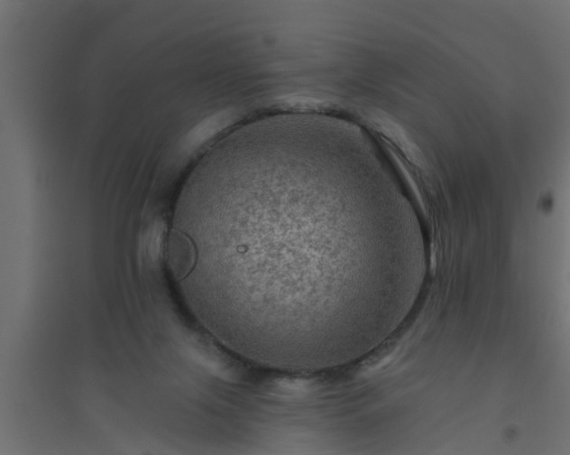 X0000094810071200711241455