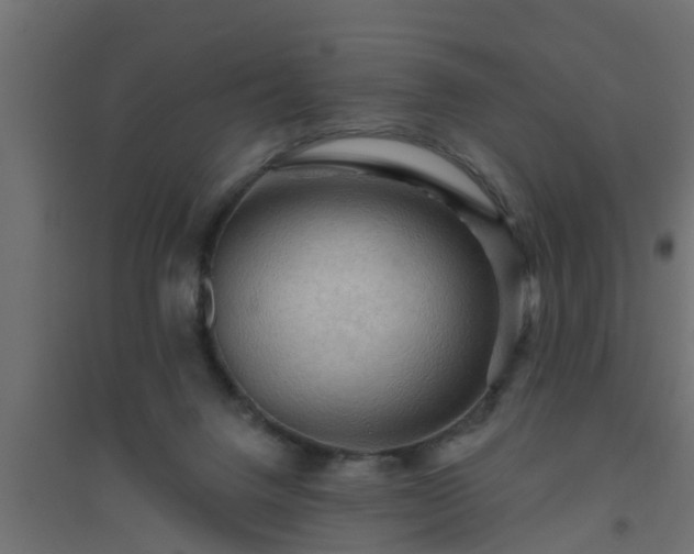 X0000094810072200711241455