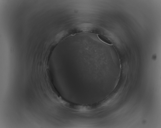 X0000094810073200711241455