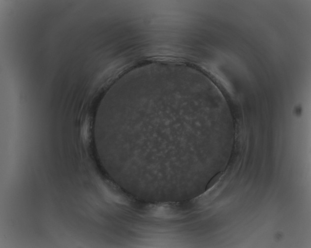 X0000094810074200711241455