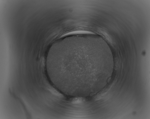 X0000094810077200711241455