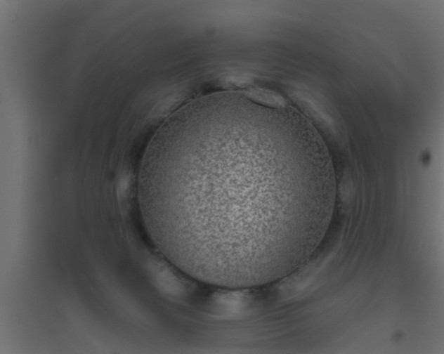 X0000094810079200711241455