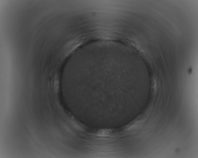 X0000094810080200711241455