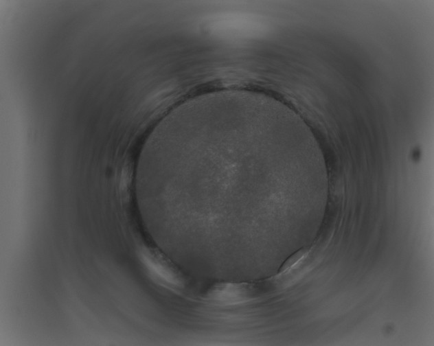 X0000094810082200711241455