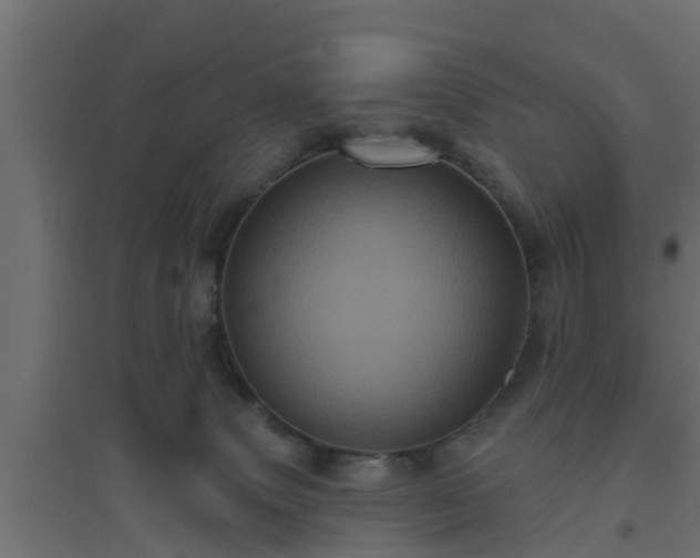 X0000094810083200711241455