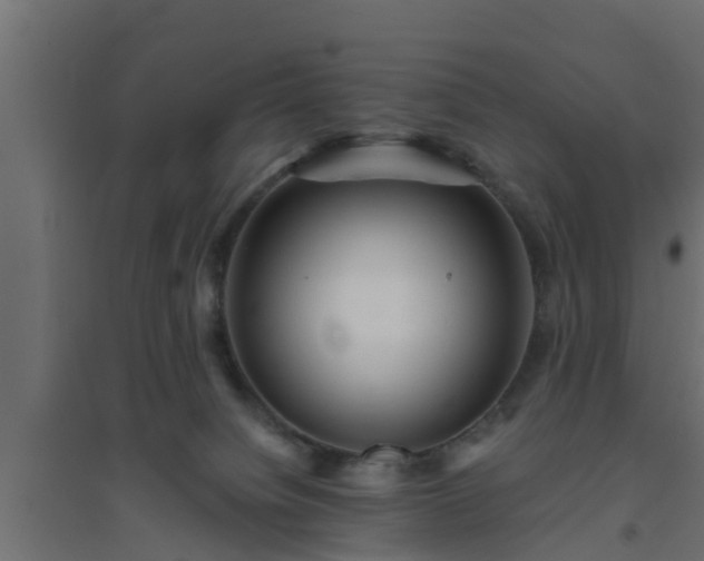 X0000094810084200711241455