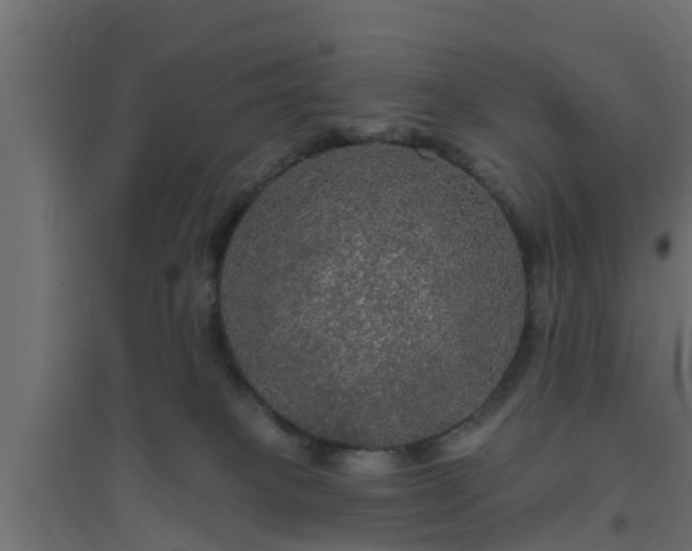 X0000094810085200711241455