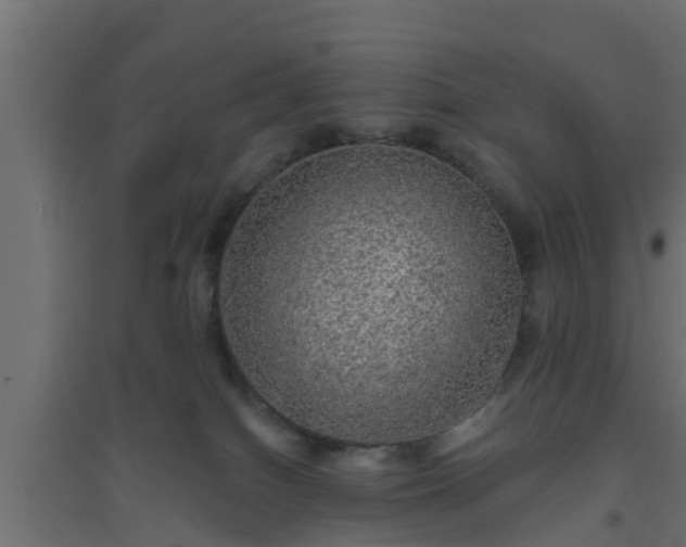 X0000094810086200711241455