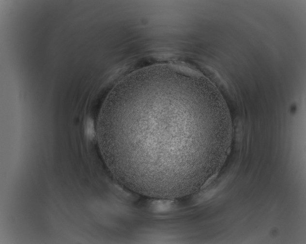 X0000094810089200711241455