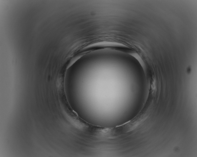 X0000094810092200711241455