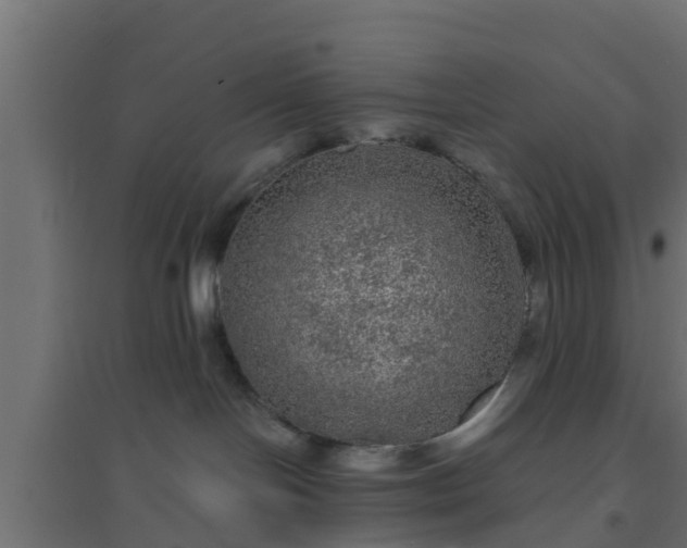 X0000094810094200711241455