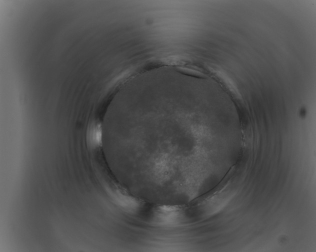 X0000094810095200711241455