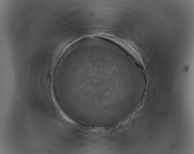 X0000094810097200711241455