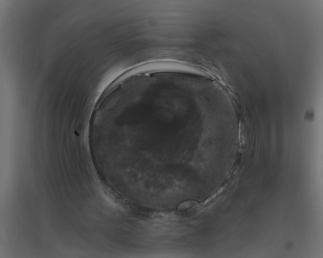 X0000094810099200711241455