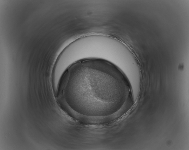 X0000094810100200711241455