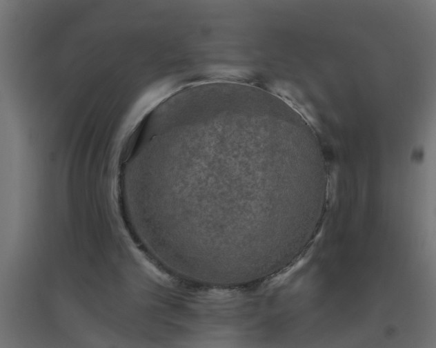 X0000094810101200711241455