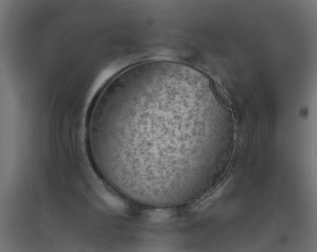 X0000094810102200711241455