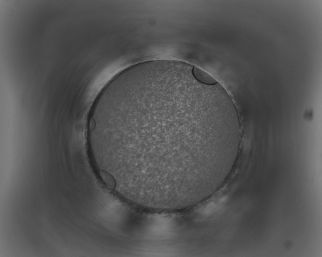 X0000094810103200711241455