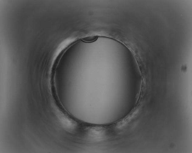 X0000094810104200711241455