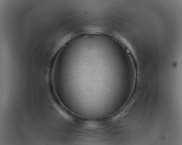 X0000094810105200711241455